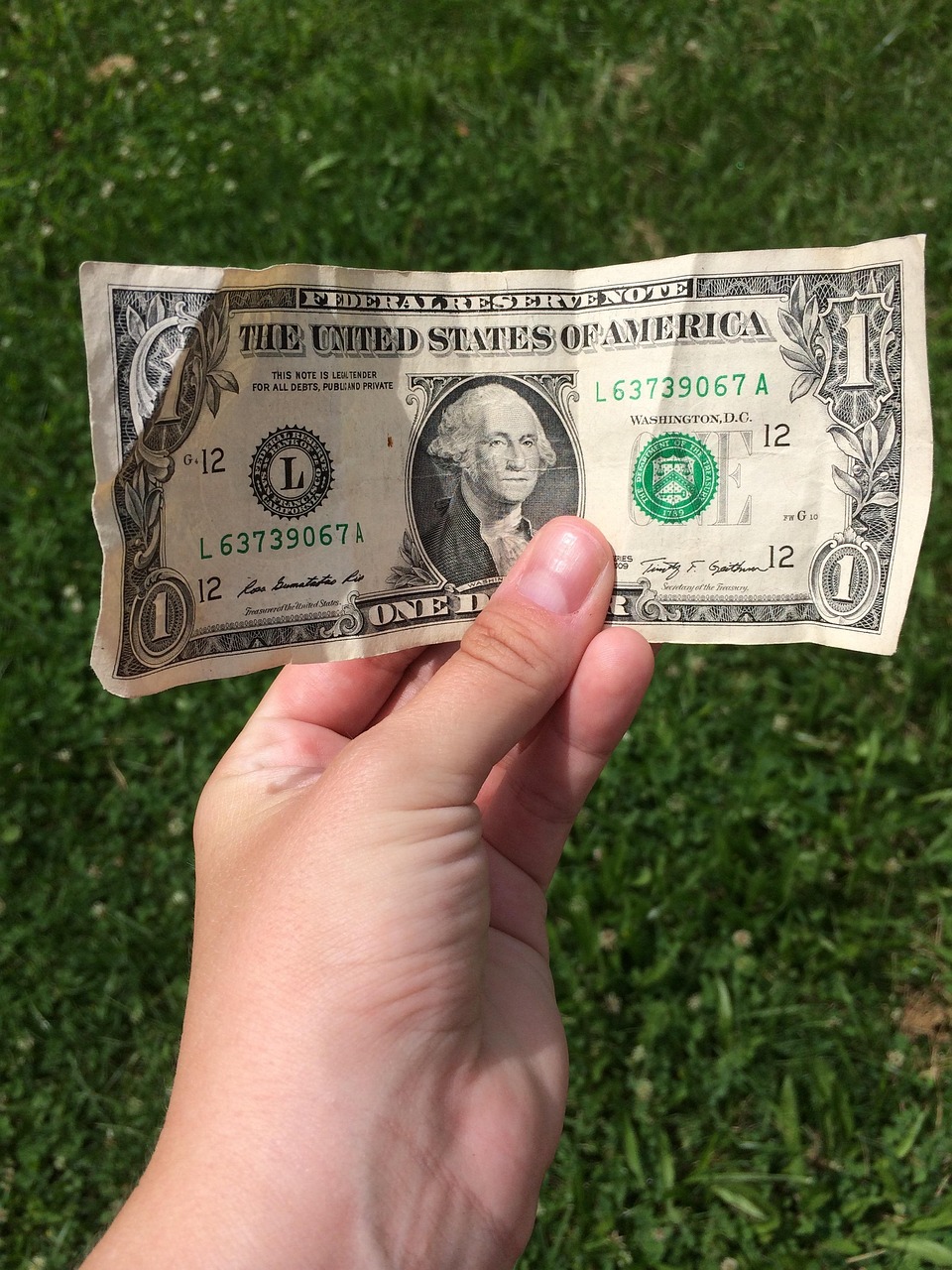 dollar bill, nature, hand, grass, money, cash, green money
